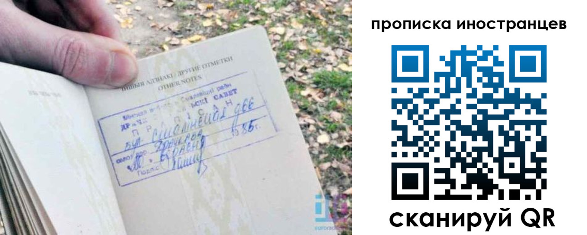 прописка паспорт в Одинцово
